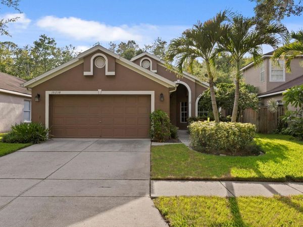 10238 WOODFORD BRIDGE STREET , TAMPA, FL 33626