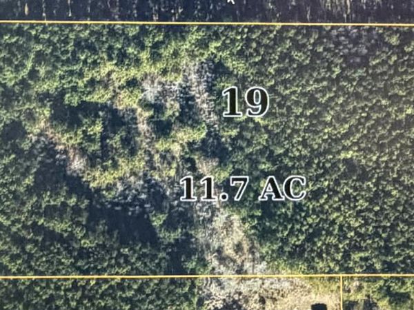 (11.7 acres) Cairo Loop, Ecru, MS 38841