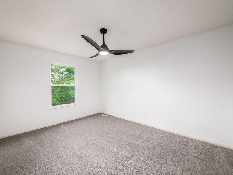 6428 Berry Pond Way, Canal Winchester, OH 43110 Photo 30