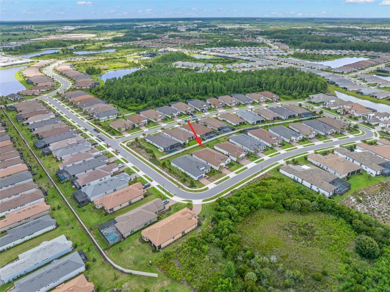 4727 Freccia Loop, Wesley Chapel, FL 33543 Photo