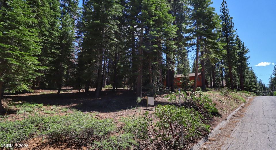 1491 Skyline Drive, South Lake Tahoe, CA 96150 Photo