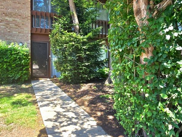 5921 Meadow Drive , Unit 156-F, Lisle, IL 60532
