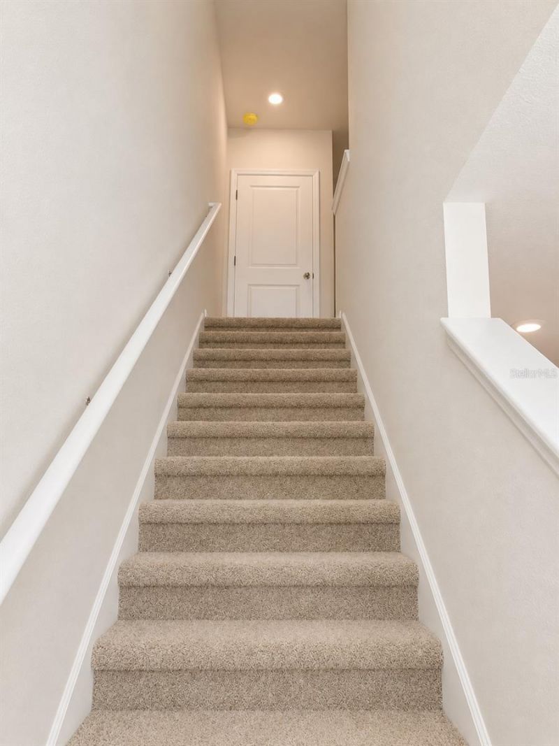 4591 Stargazer Court, Palm Harbor, FL 34683 Photo