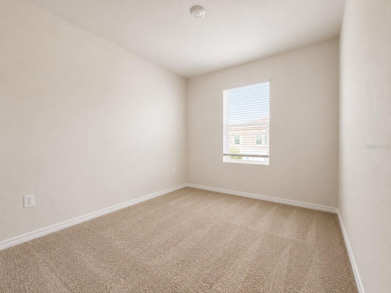 4591 Stargazer Court, Palm Harbor, FL 34683 Photo
