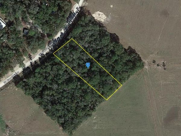 263 SE RIVERSIDE EAST DRIVE , BRANFORD, FL 32008