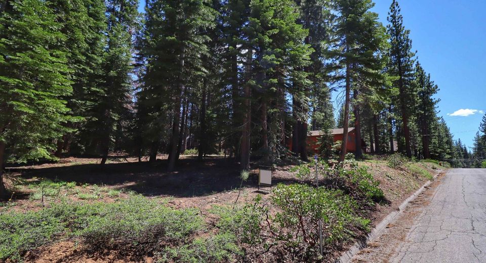 1491 Skyline Drive, South Lake Tahoe, CA 96150 Photo