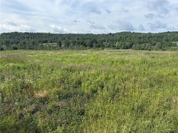 0 Beaver Dam Rd, New Galilee, PA 16141