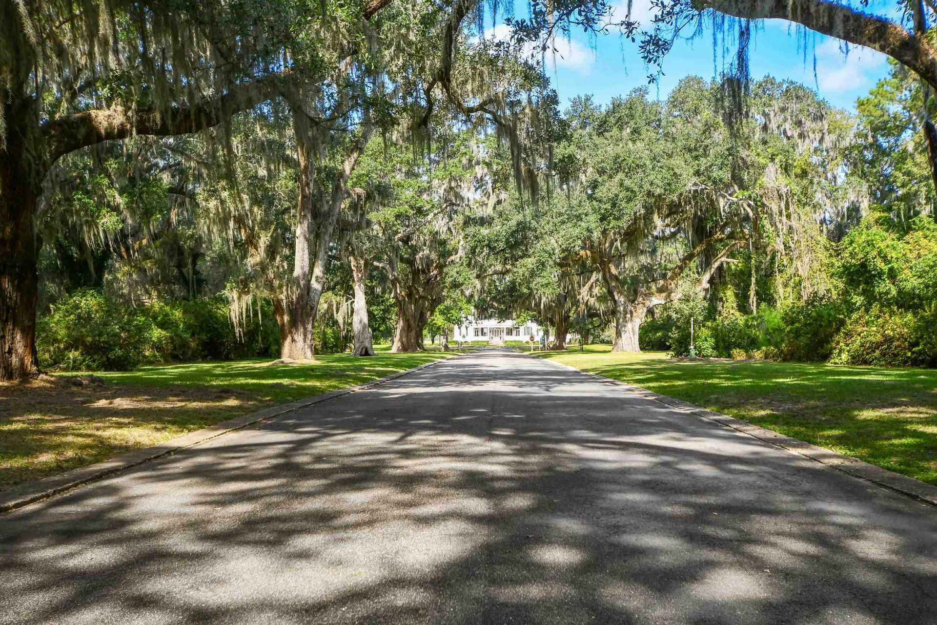 19 Red Skiff Ln. Photo 38