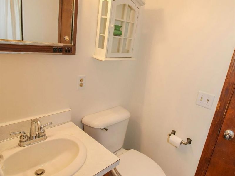 203 Depot Street, Castalia, OH 44824 Photo 36
