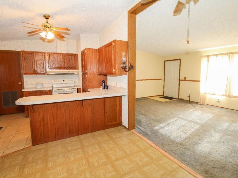 203 Depot Street, Castalia, OH 44824 Photo 41