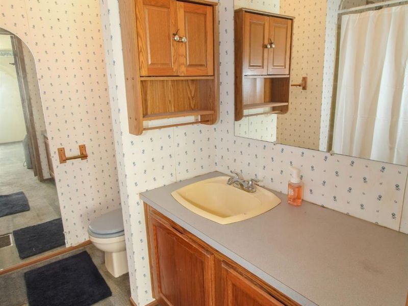 203 Depot Street, Castalia, OH 44824 Photo 49