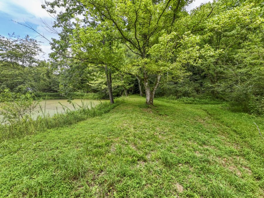 Property Image 56