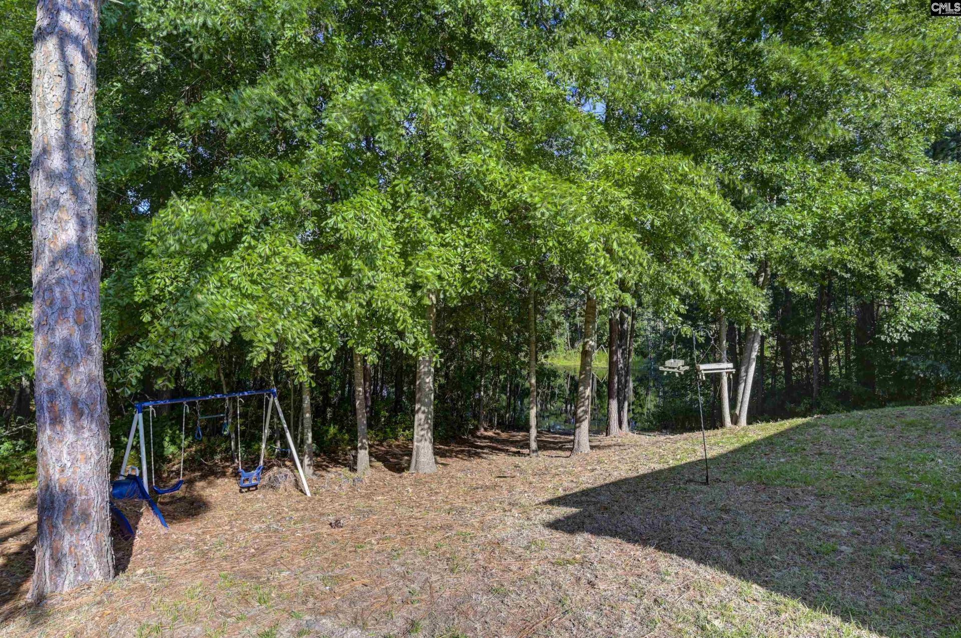 215 Sorrel Tree Drive  Photo 46