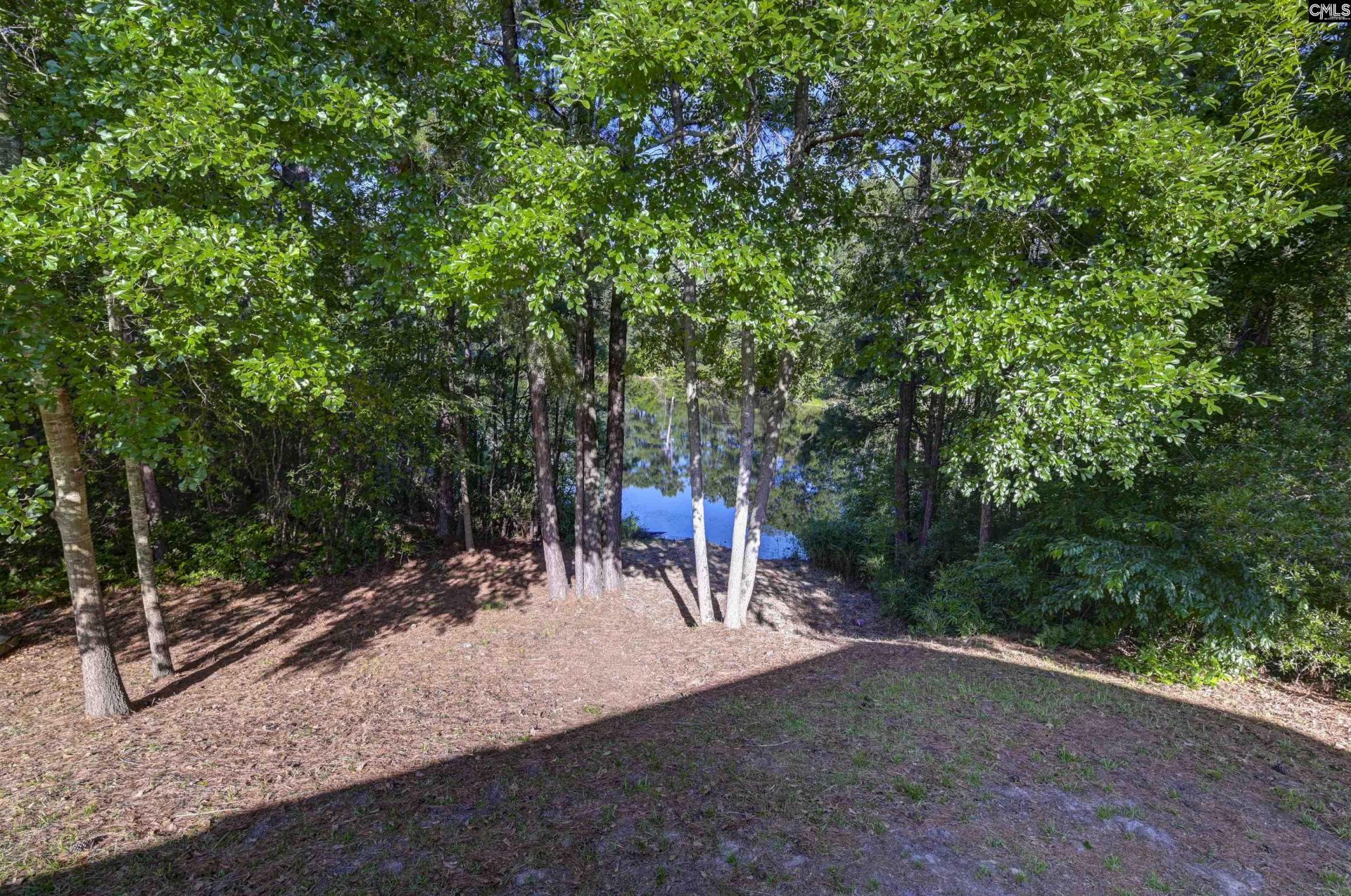 215 Sorrel Tree Drive  Photo 47