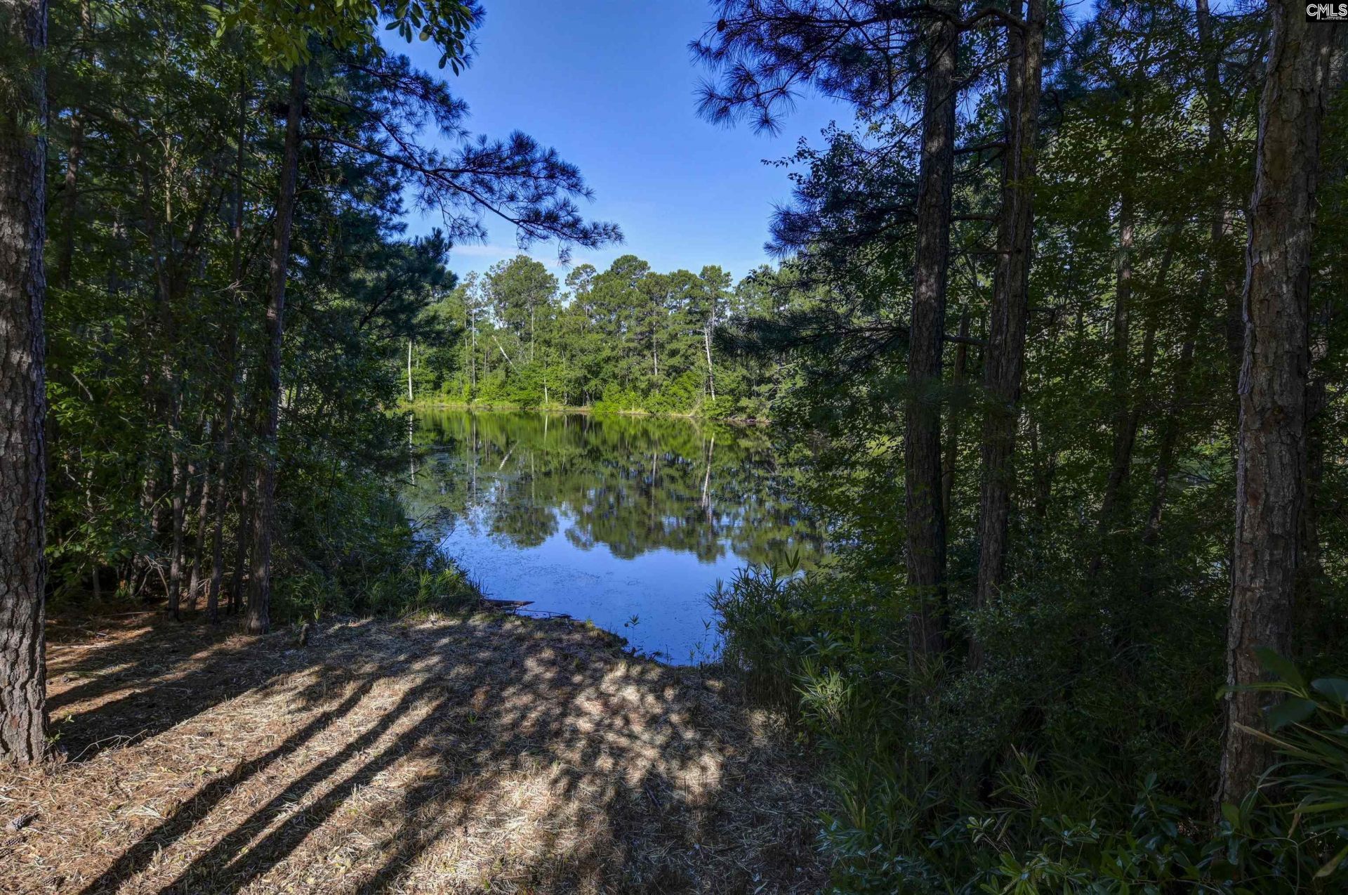 215 Sorrel Tree Drive  Photo 48