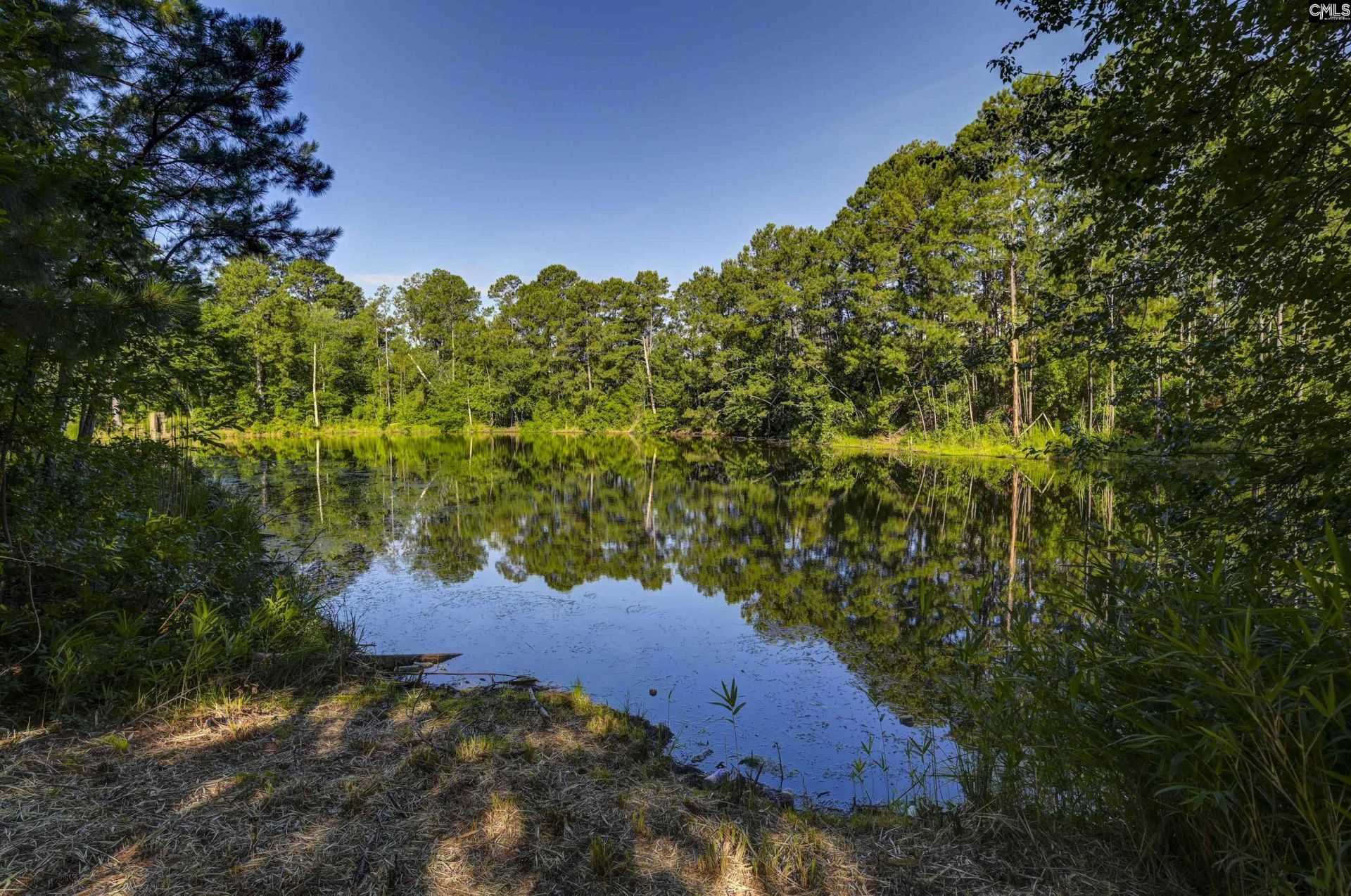 215 Sorrel Tree Drive  Photo 49