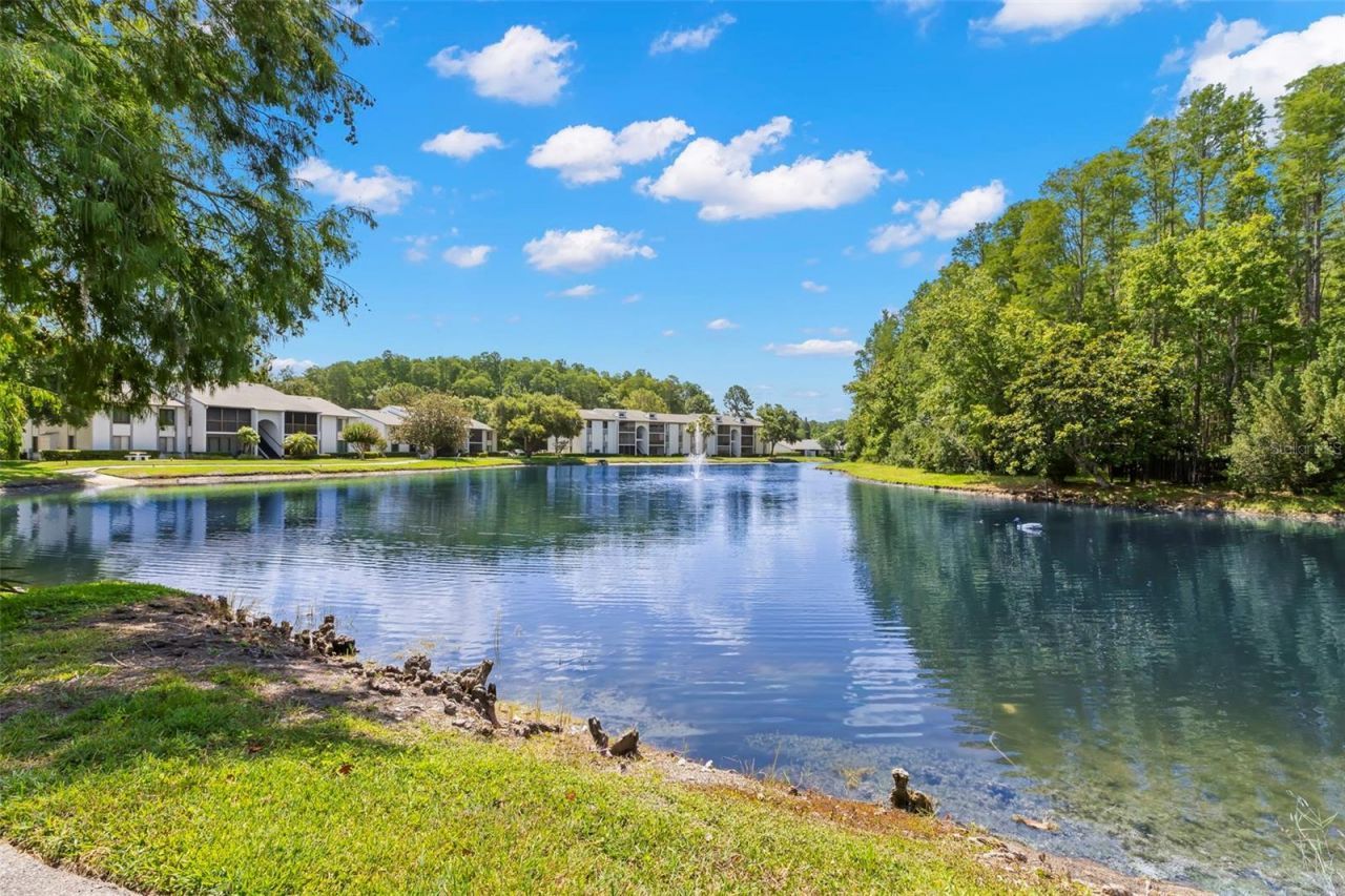 1290 Pine Ridge Circle E, Unit E1, Tarpon Springs, FL 34688 Photo