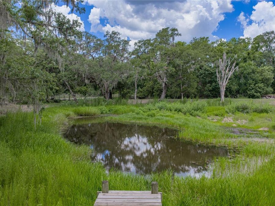 Property Image 62
