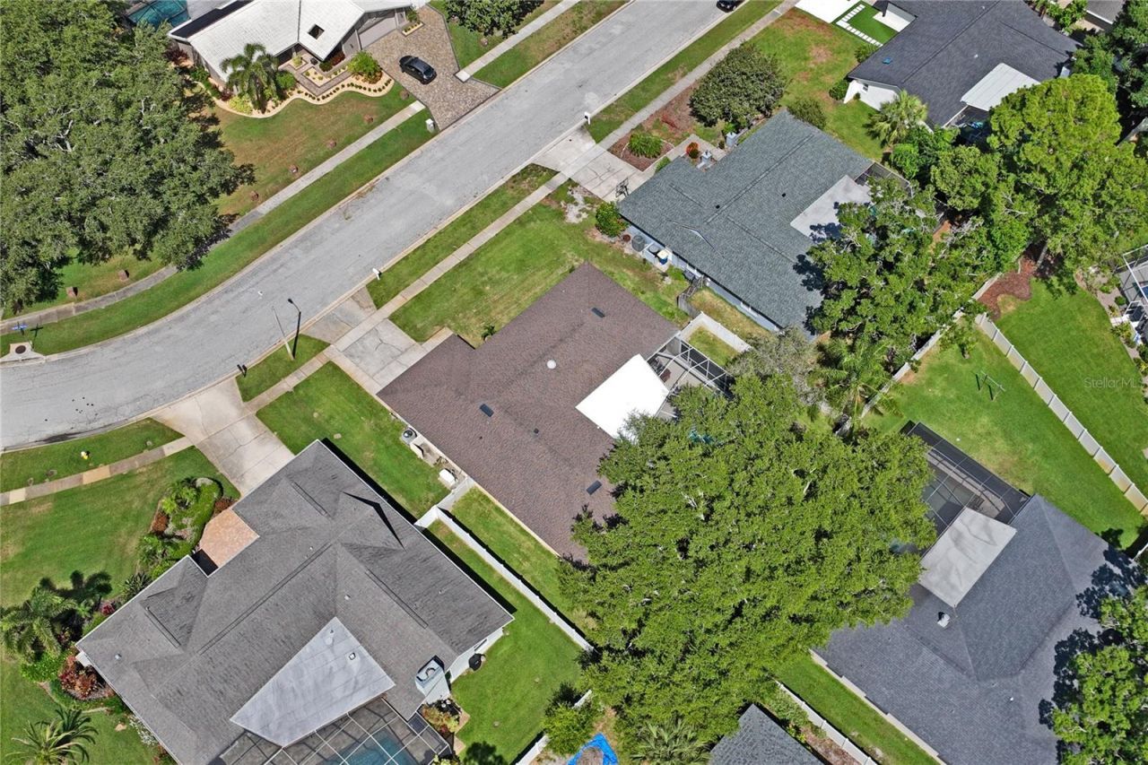 3133 Sandy Ridge Drive , Clearwater, FL 33761 Photo