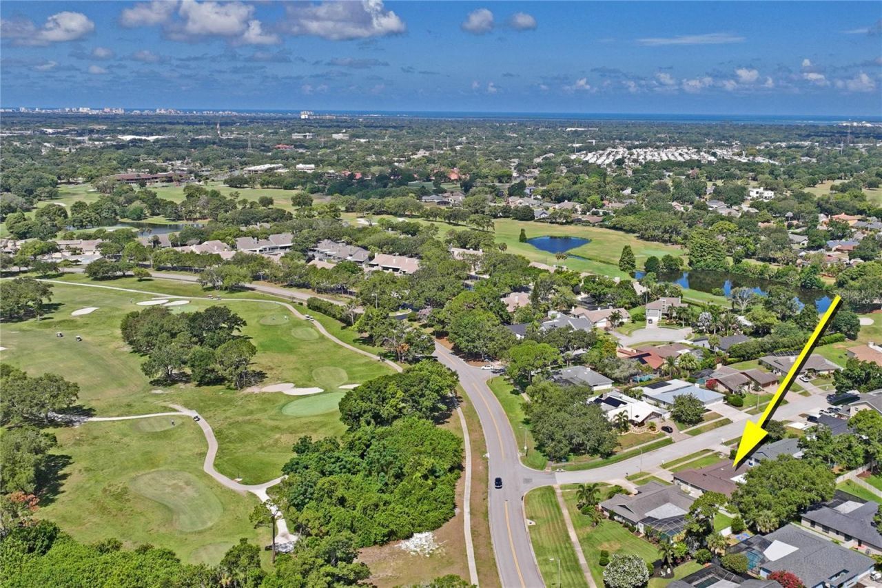 3133 Sandy Ridge Drive , Clearwater, FL 33761 Photo