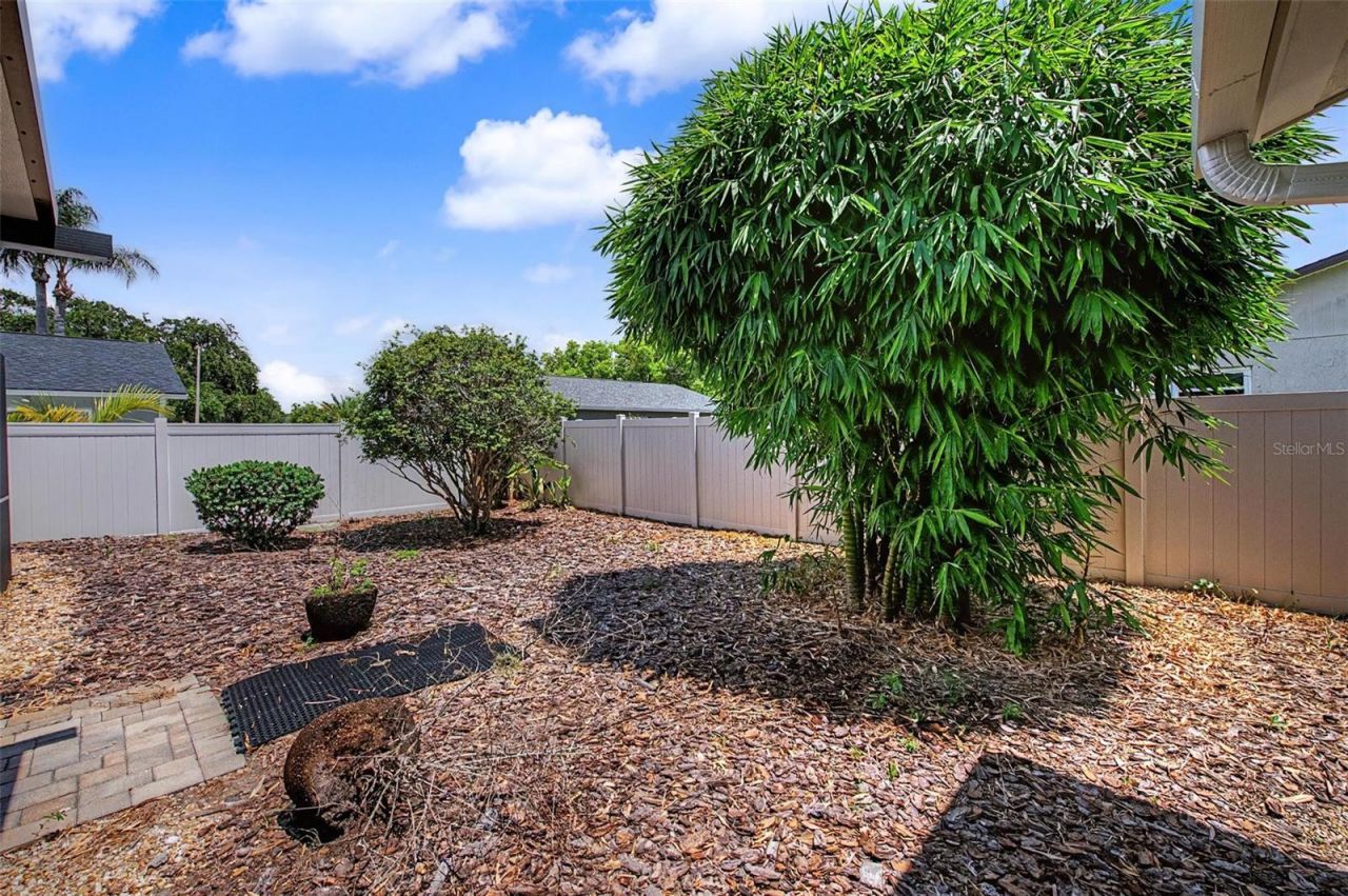4212 Gray Squirrel Lane, New Port Richey, FL 34653 Photo