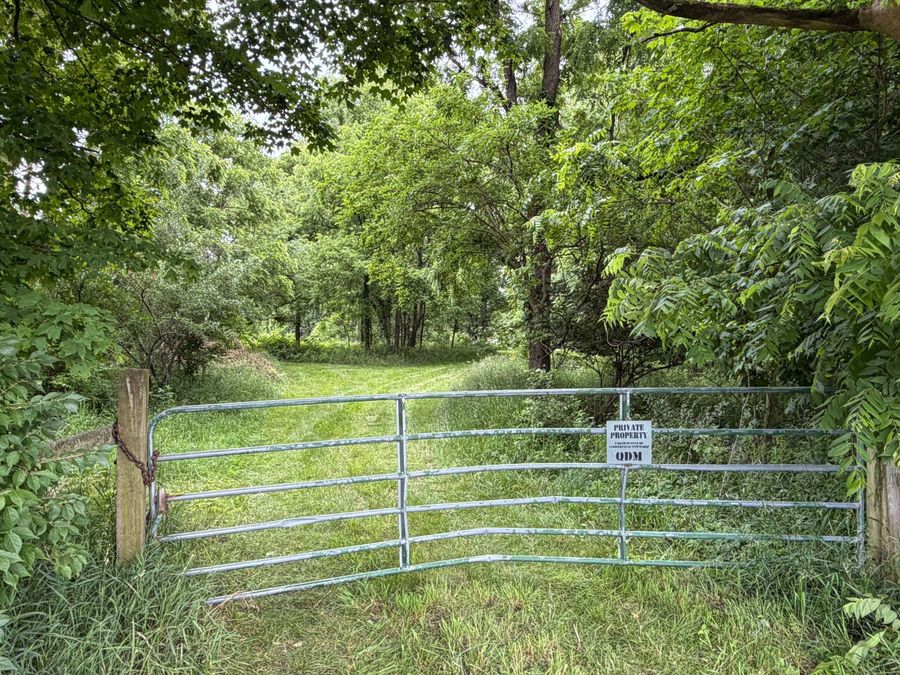 Property Image 19