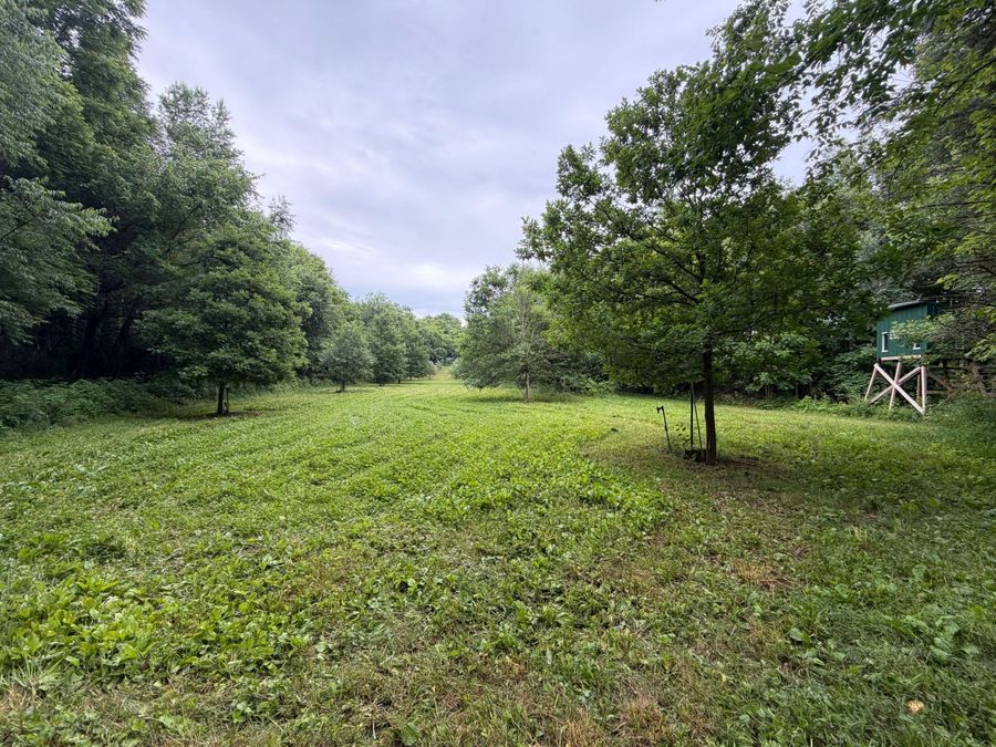 Property Image 25