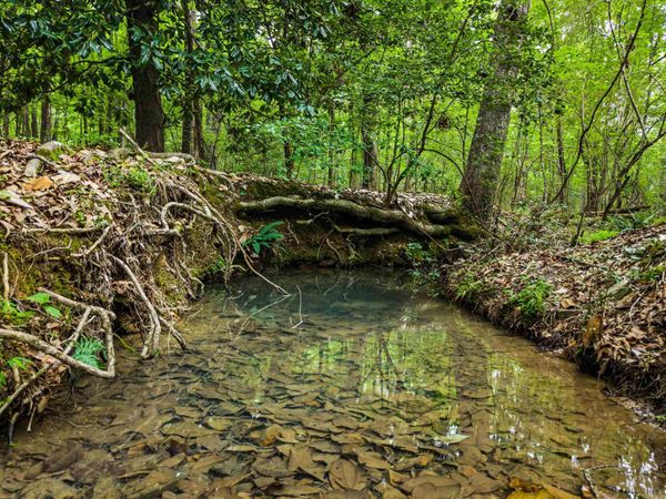 Hot Springs, AR 71909
