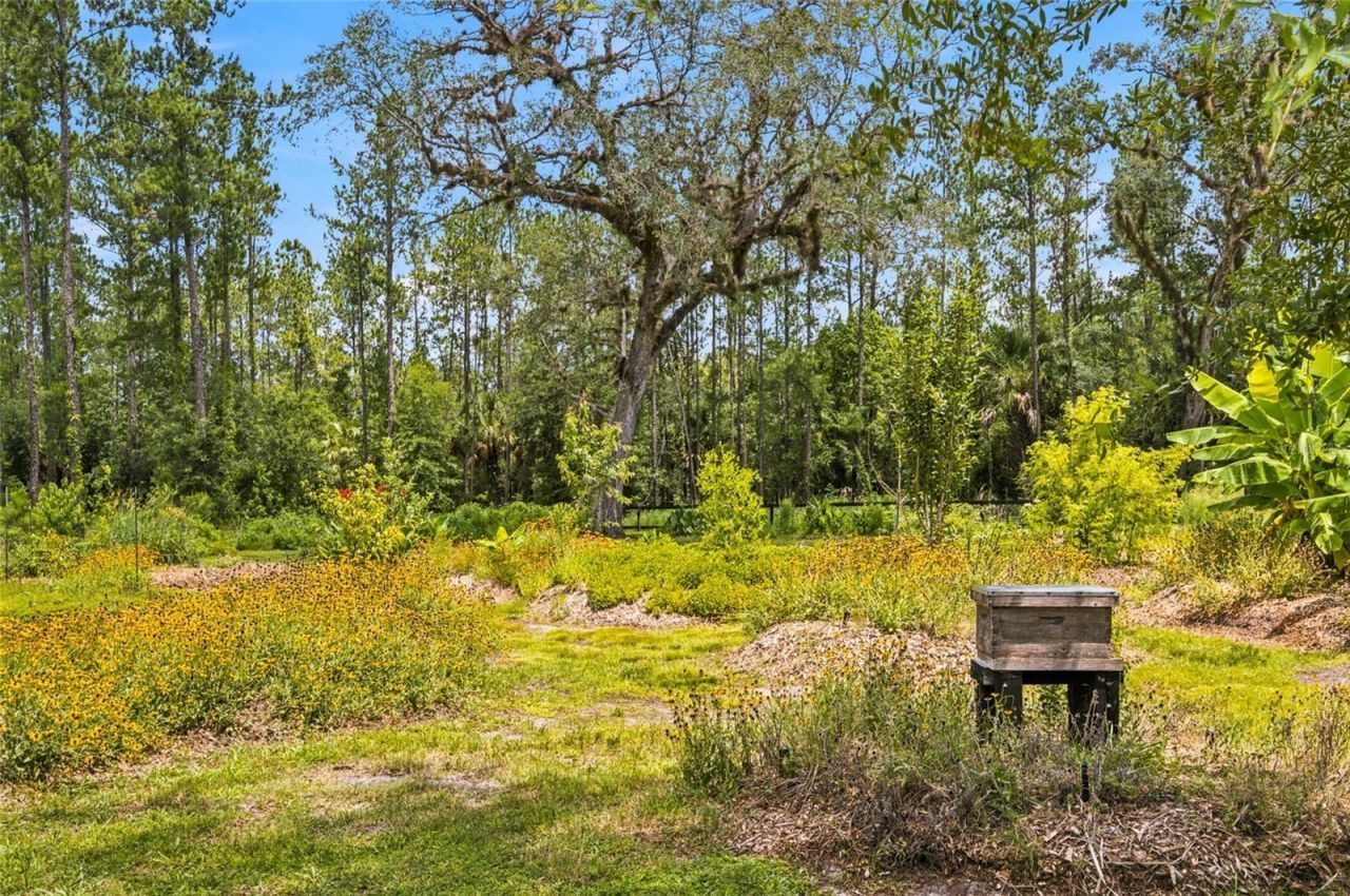 10080 SE 1st Street Road, Silver Springs, FL 34488 Photo