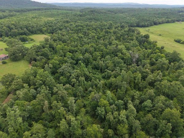 XXX Nubbin Ridge , Royal, AR 71968
