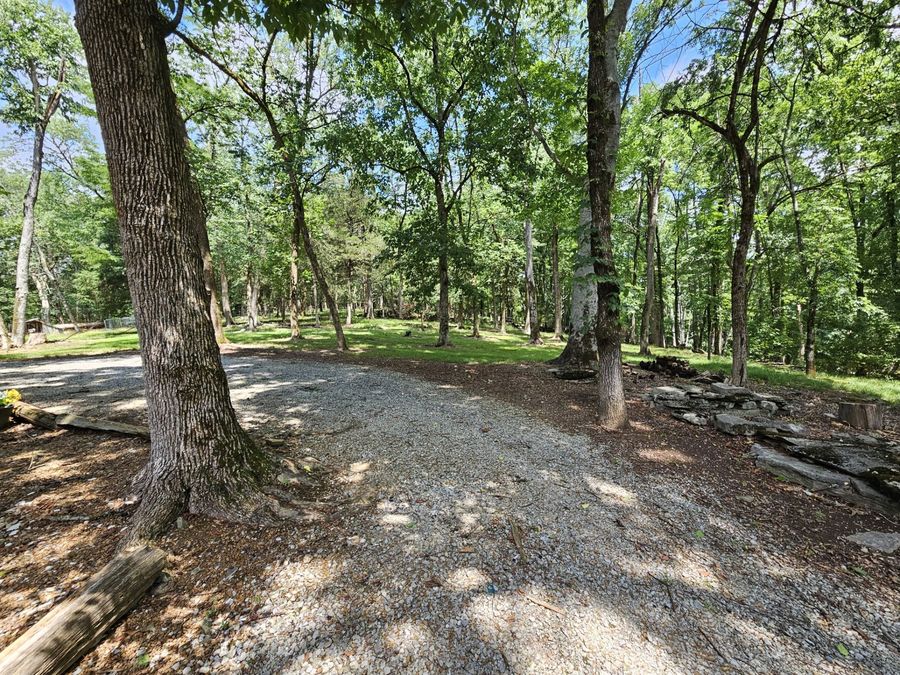 Property Image 91