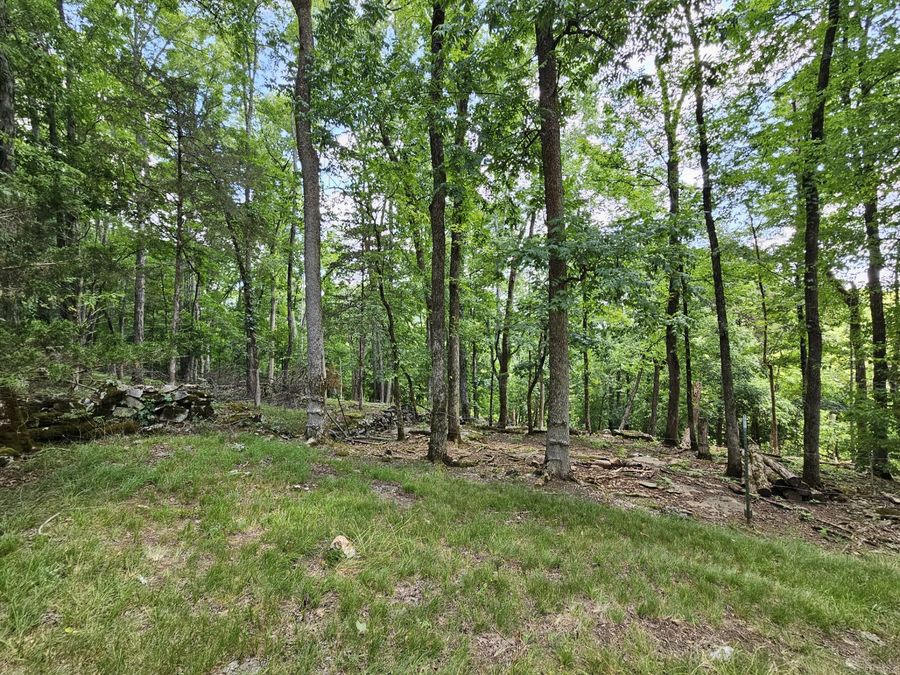 Property Image 97