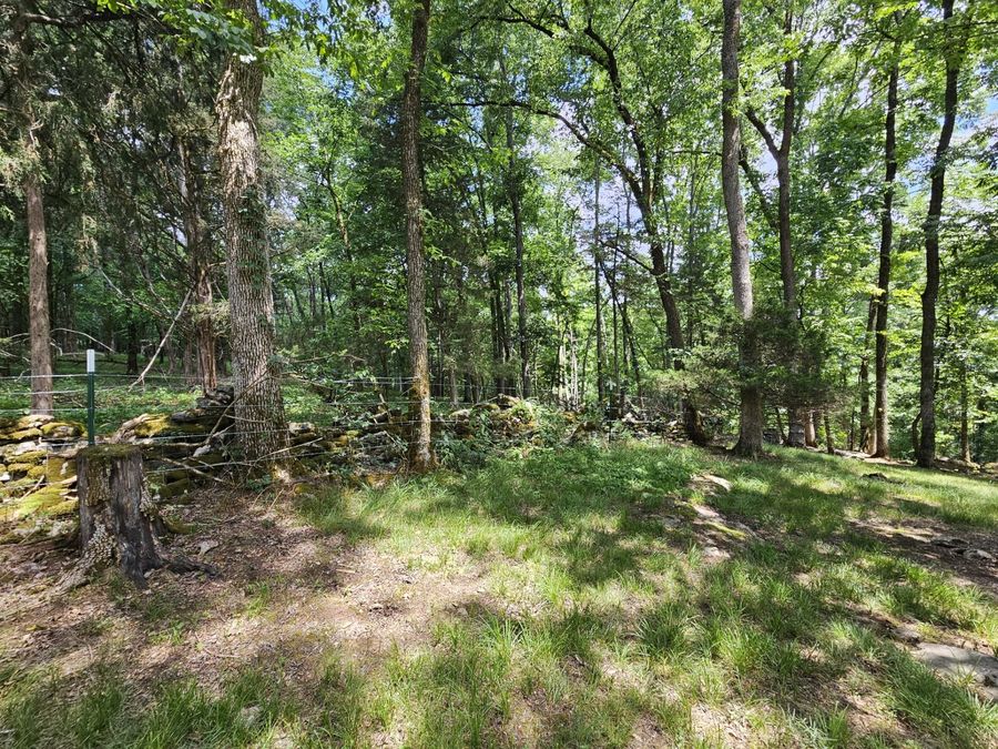 Property Image 98