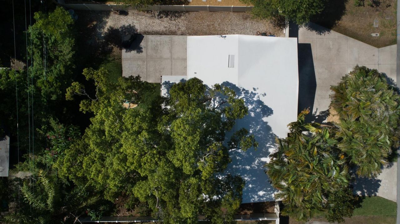995 Emerson Drive, Dunedin, FL 34698 Photo