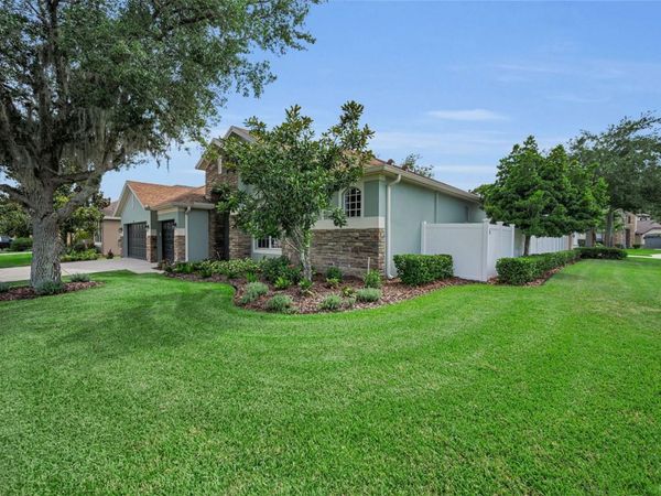 1629 SALMONBERRY STREET, WESLEY CHAPEL, FL 33543