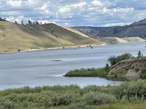 36141 N Mill Canyon Rd, Davenport, WA 99122