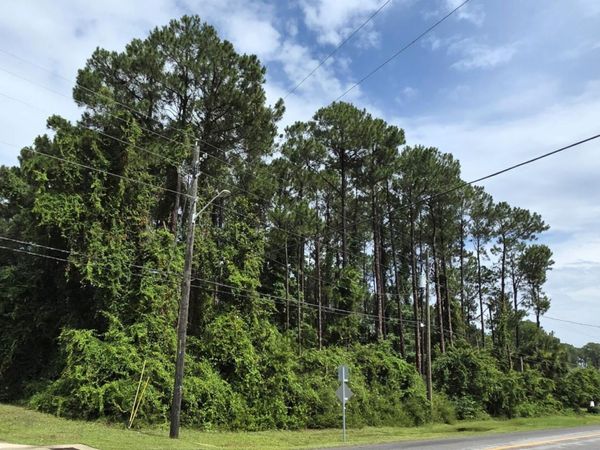 233 Fairway Boulevard , Panama City Beach, FL 32407