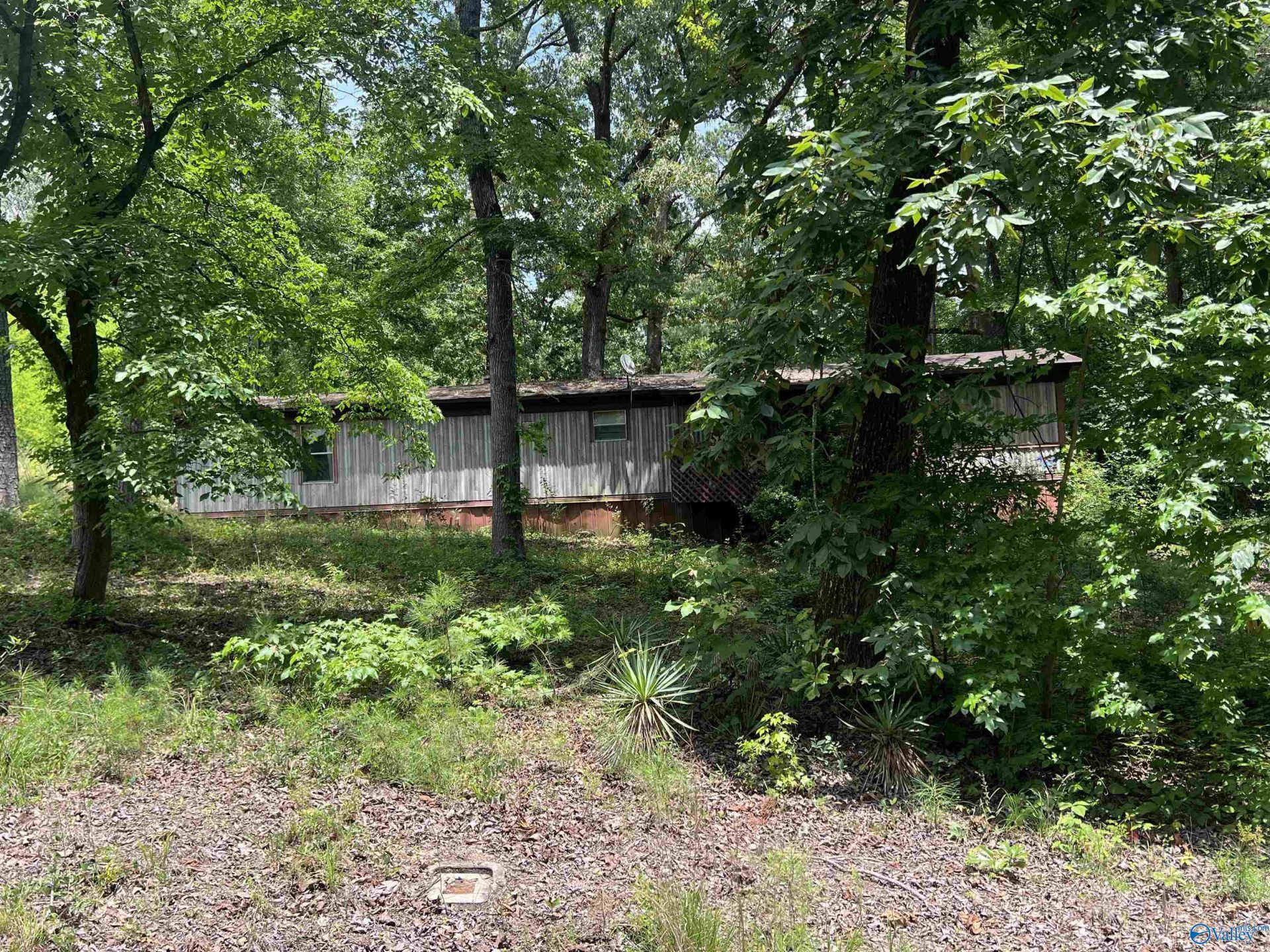 1790 Forest Green Road, Southside, AL 35907 Main Photo