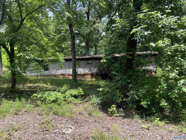 1790 Forest Green Road, Southside, AL 35907