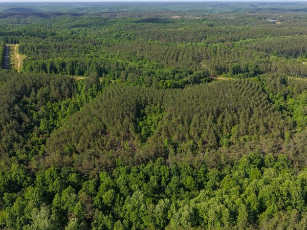 0 Darbytown Rd , Unit 5, Hohenwald, TN 38462