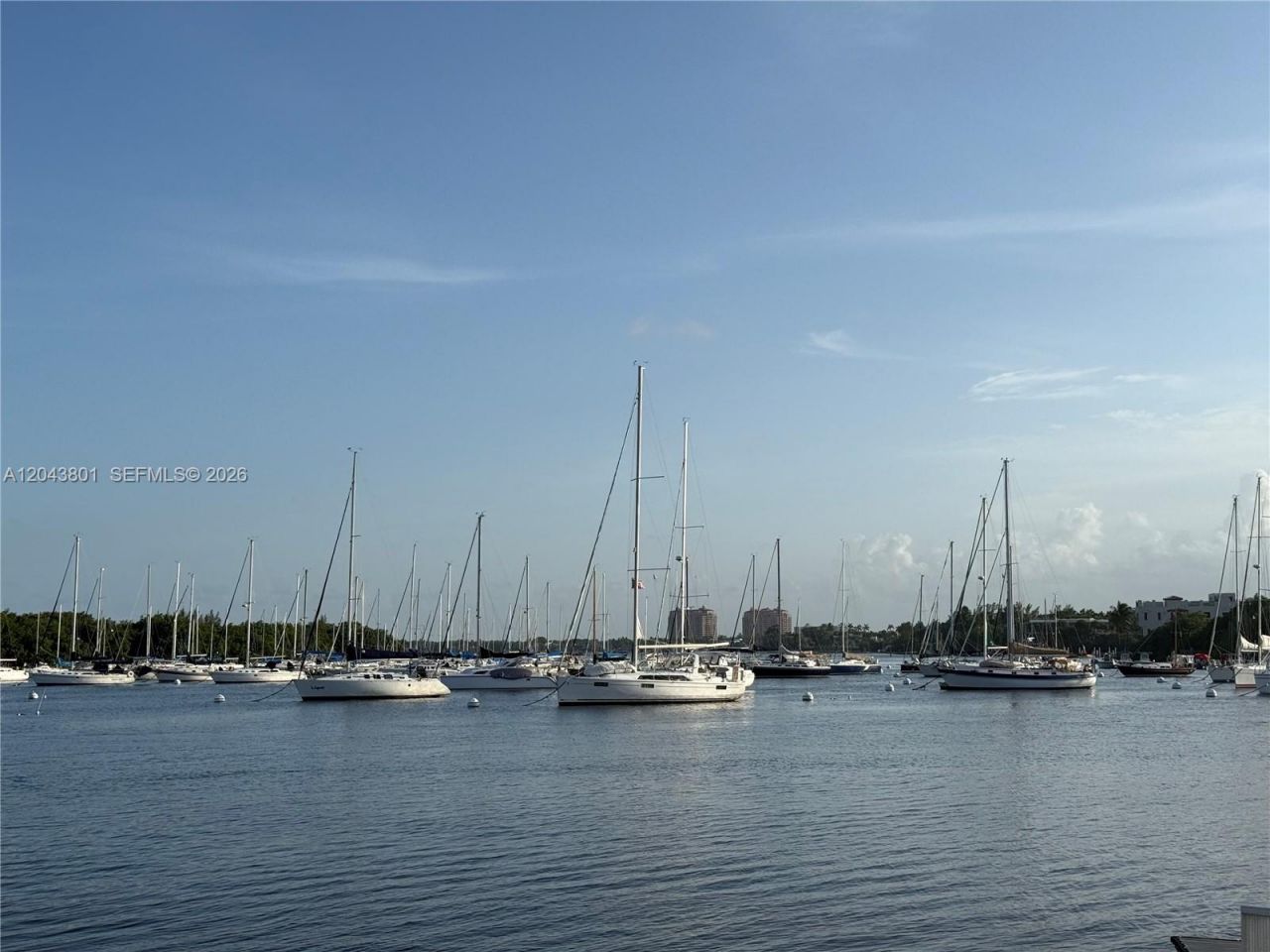 3400 SW 27th Ave, Unit 1206, Miami, FL 33133 Photo