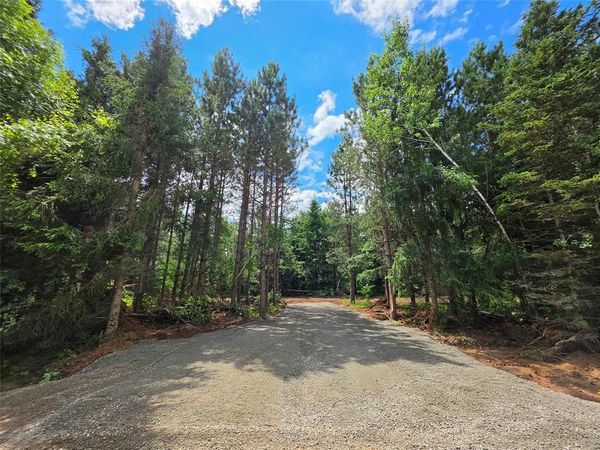 20 Acres Adams Road Road, Bruce, WI 54819