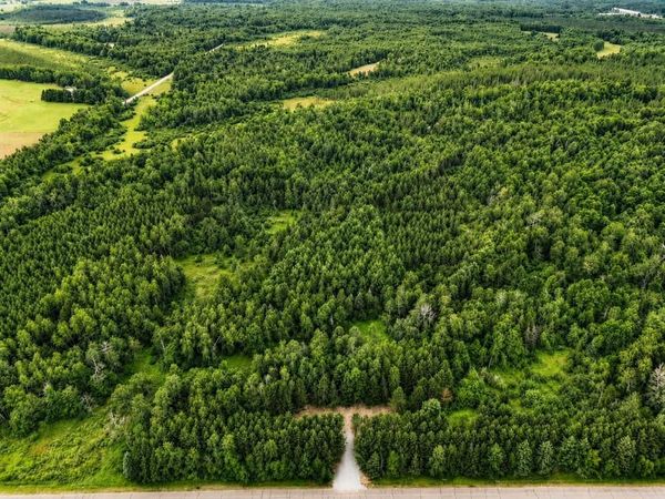 20 Acres Adams Road, Bruce, WI 54819