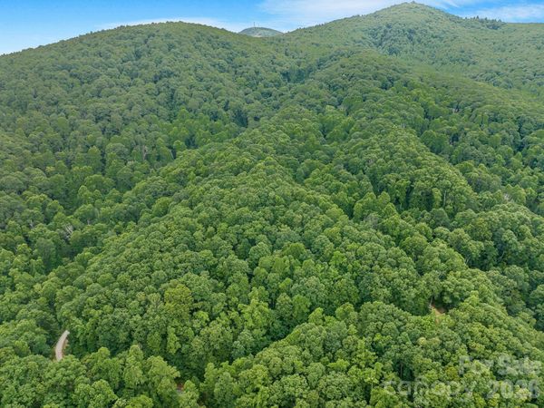 8 Carls Cove Road , Black Mountain, NC 28711