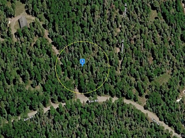 423 Rim Road, Cimarron, CO 81220
