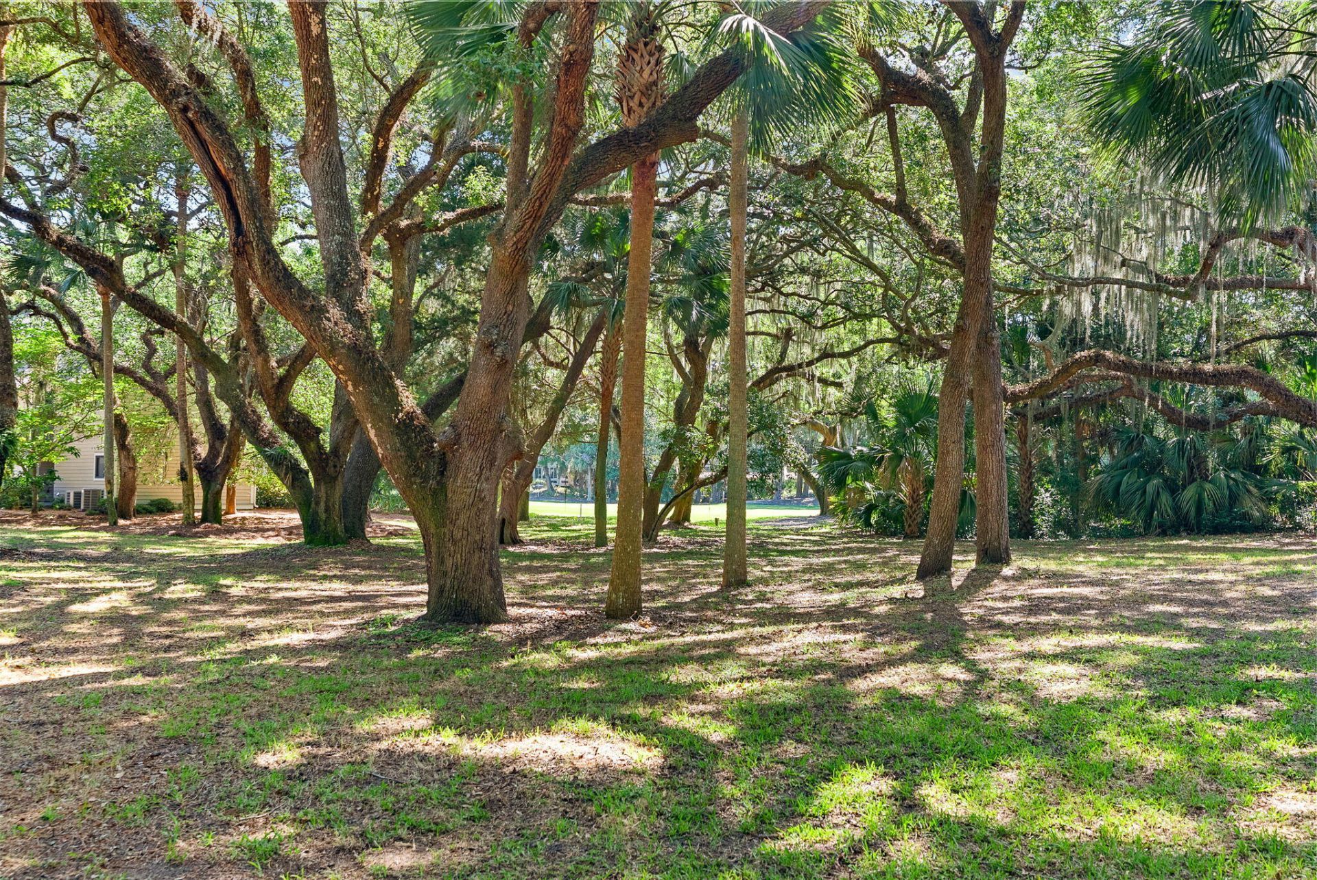 157 High Hammock Villas Photo 33