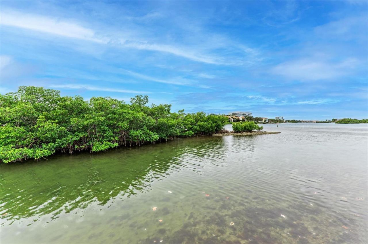 6470 Hollywood Boulevard, Unit 307, Sarasota, FL 34231 Photo