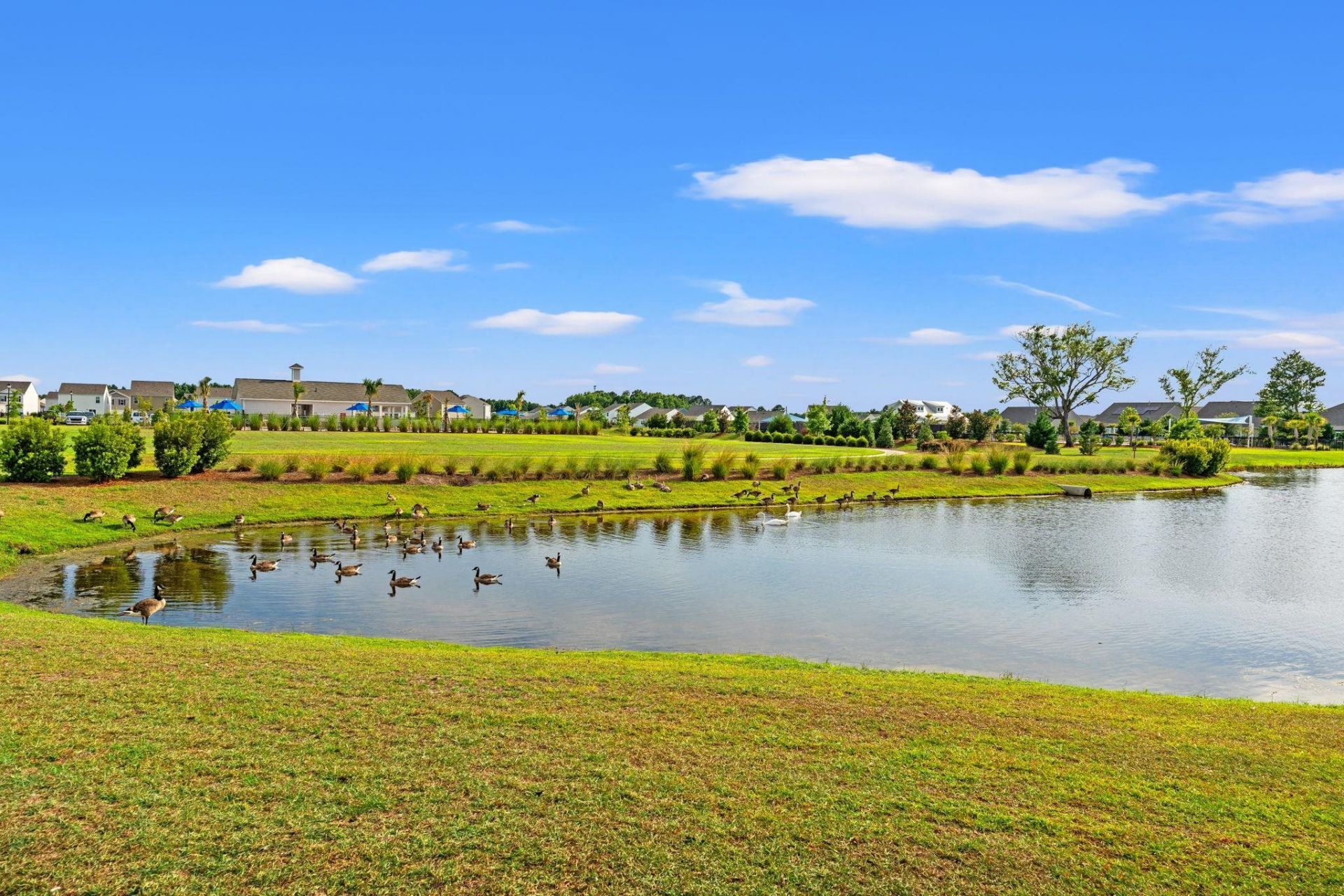 1015 Flintshire Dr. Photo 33