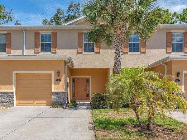 13936 SNAPPER FIN LANE , TAMPA, FL 33637