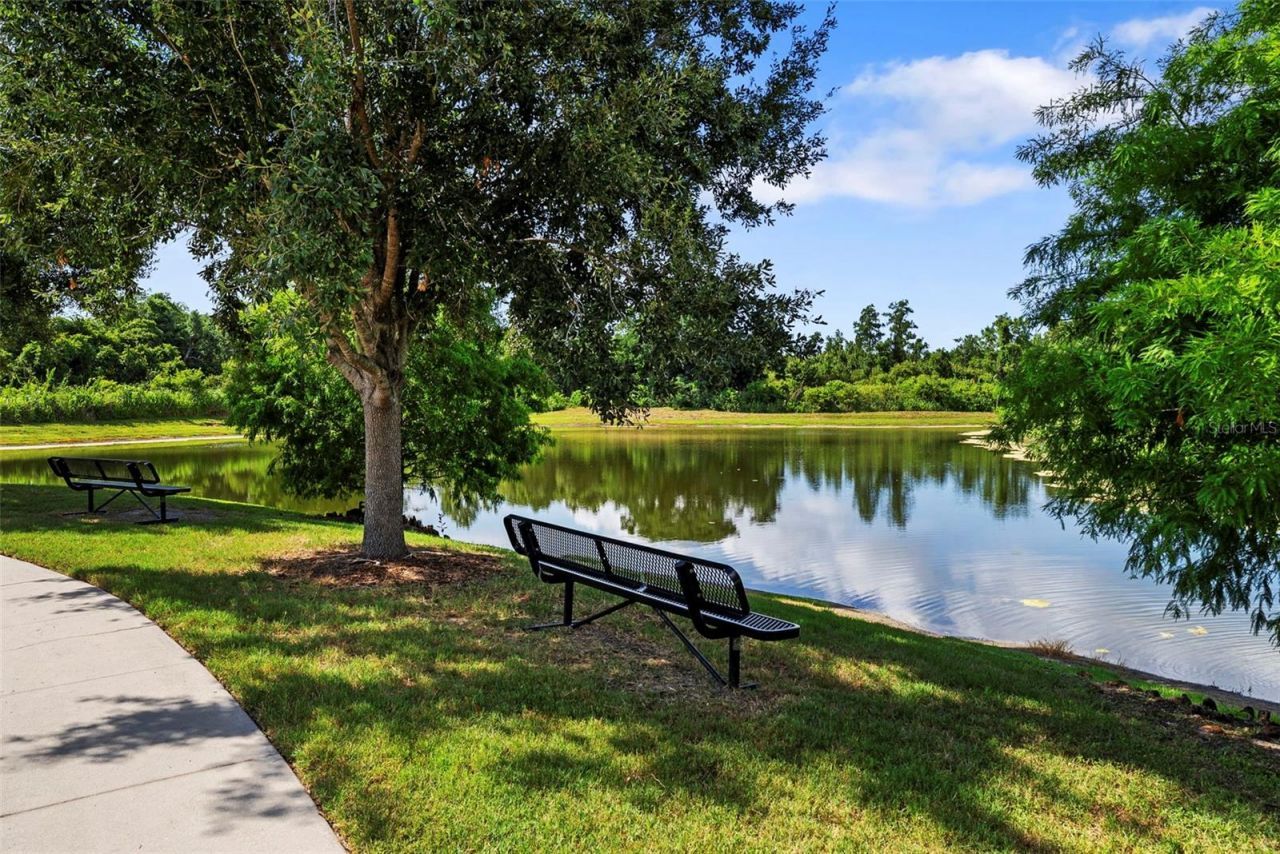 11213 Moultrie Place, Tampa, FL 33625 Photo